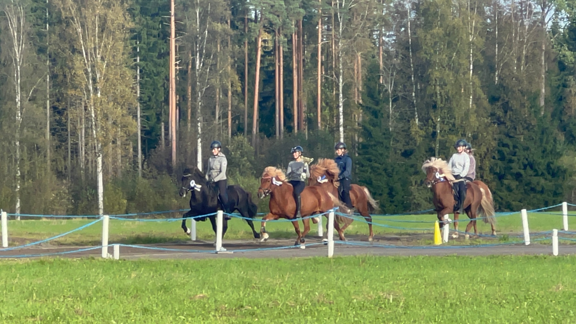 Ratsastajat islanninhevosilla Kaakkolan baanalla