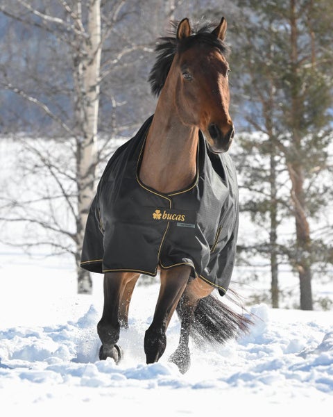 Bucas Irish Turnout High Neck– vedenpitävä ulkoloimi